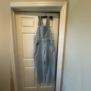 We The Free Ziggy Denim Overalls